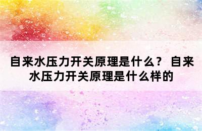 自来水压力开关原理是什么？ 自来水压力开关原理是什么样的